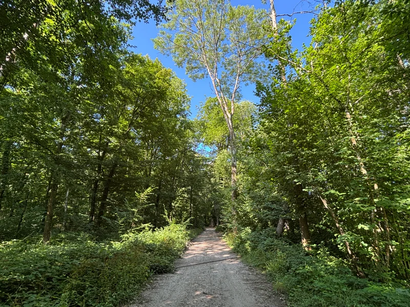 Randonnée CH3 Le bois de la tour du Lay — Champagne-sur-Oise