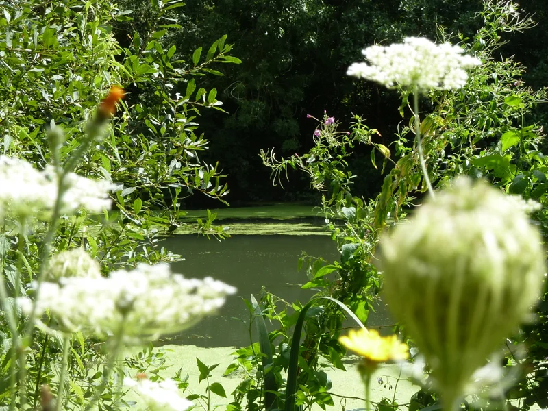 Randonnée Les berges et les coteaux de la Seine — Follainville-Dennemont