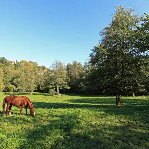 Randonnée Village perché et verte vallée — Magny-Village