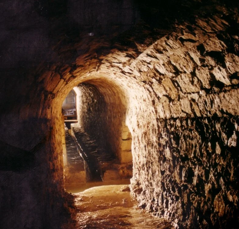 Randonnée L'eau des moines (0) — Viarmes