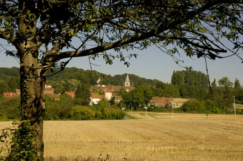 Randonnée B3 - Les herbes de Chaudry — Villers-en-Arthies