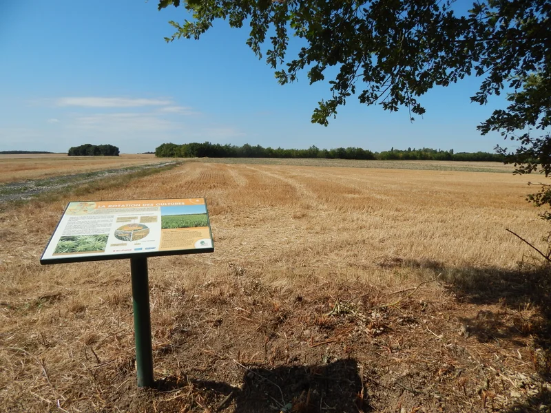 Randonnée Sentier d'Interprétation Agricole (0) — Oncy-sur-École