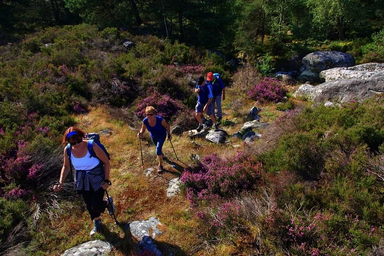 Randonnée Milly-la-Forêt et le Coquibus — Milly-la-Forêt