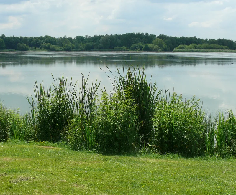 Randonnée A la lisière entre ville et campagne — Rodon