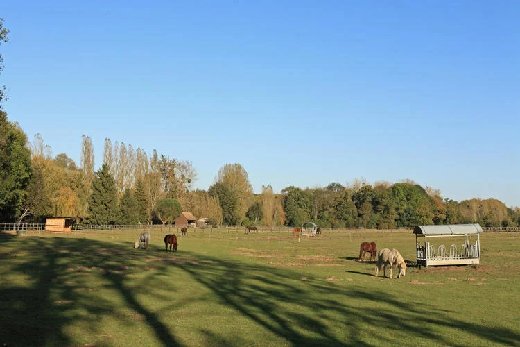Randonnée Les moulins de Saint-Arnoult — Longvilliers
