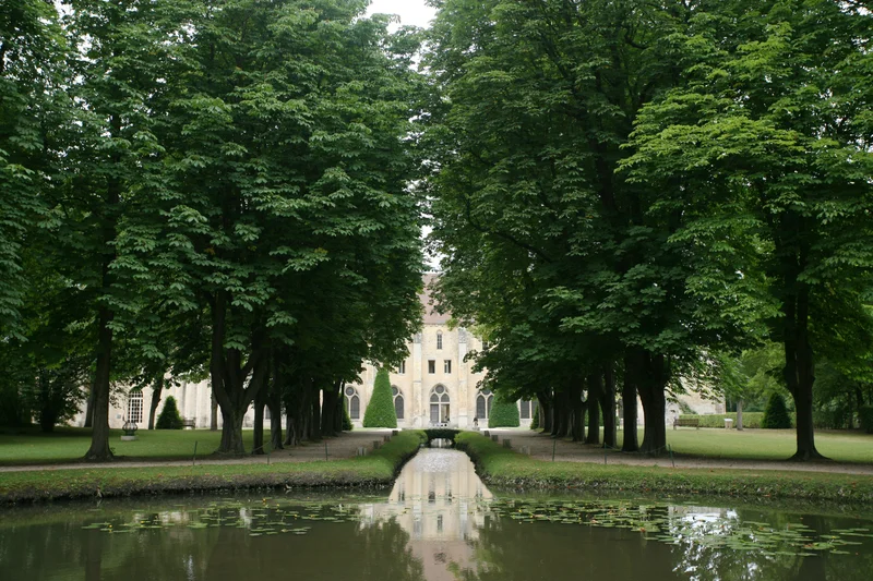 Randonnée Au bord de l'eau à Royaumont — Les Tilleuls