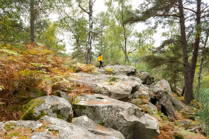 Randonnée Forêt de Rambouillet et rochers d'Angennes — Poigny-la-Forêt