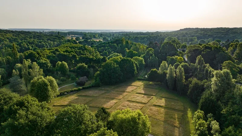 Randonnée Grosrouvre entre Clairière et Forêt Royale — Grosrouvre