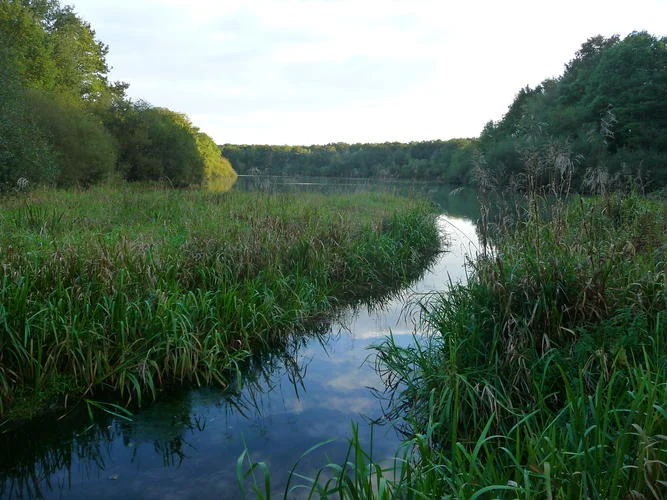 Randonnée Vallée intime et rigoles royales — Saint-Benoît