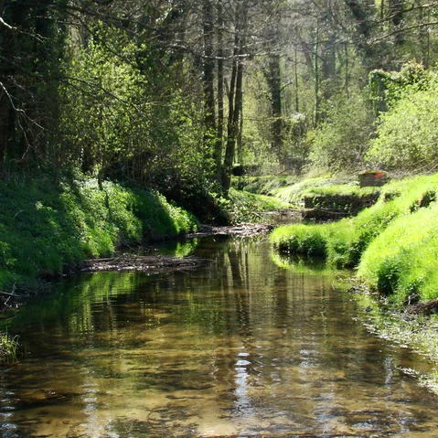 Randonnée Les Coteaux de l'Yvette — Lévis-Saint-Nom