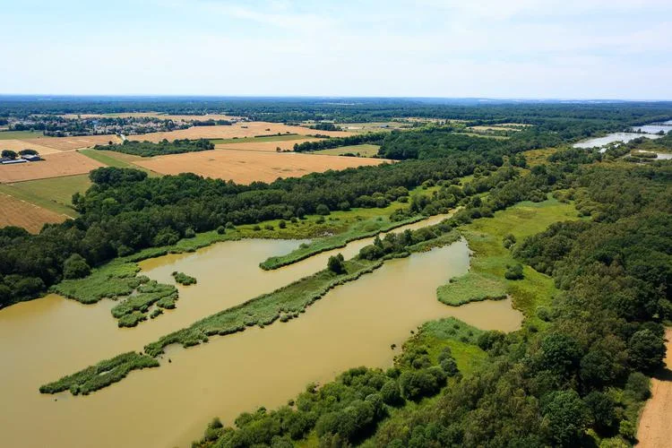 Randonnée Observation aux étangs royaux — Le Perray-en-Yvelines