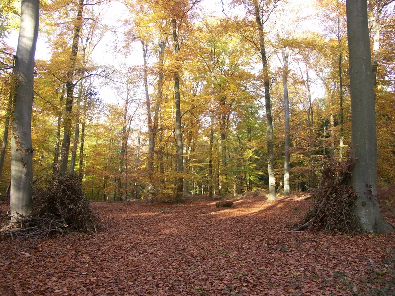 Randonnée Poteau du Grand Maître, à l’assaut du Mont Pagnotte (0) — Fleurines
