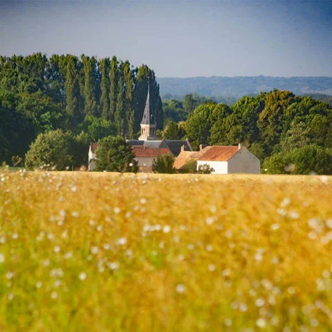 Randonnée Les multiples facettes de Vaugrineuse - version courte — Briis-sous-Forges