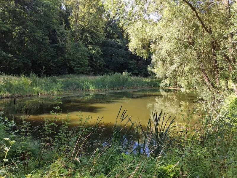 Randonnée Sentier de la Biodiversité — Verneuil-en-Halatte