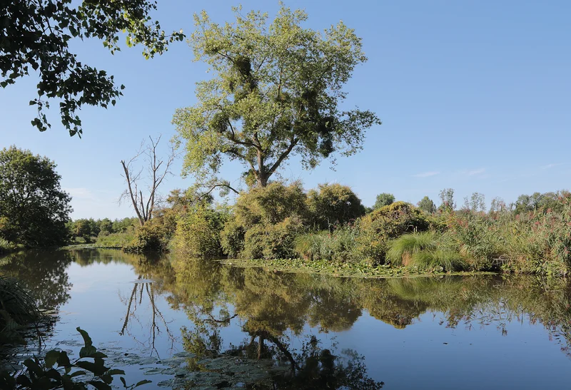 Randonnée La Haute vallée de l'Essonne — Buthiers