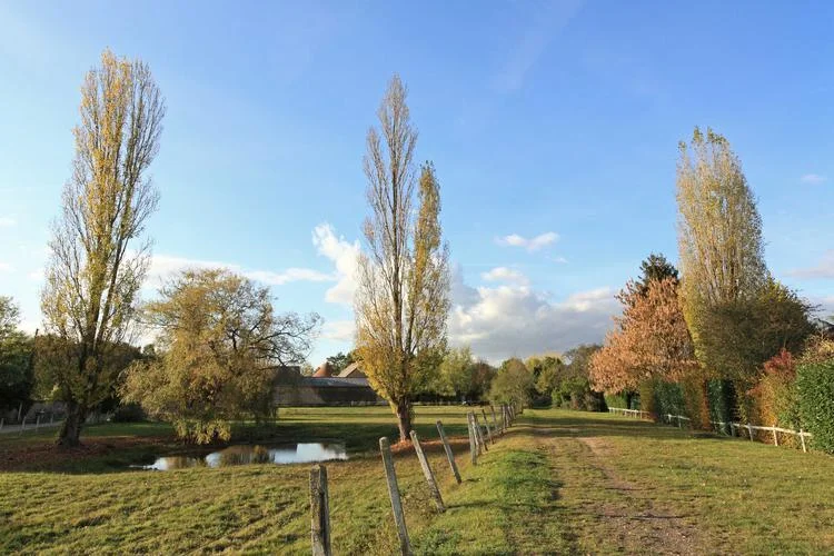 Randonnée La vallée du Ru des Vaux entre Cernay et Senlisse — Cernay-la-Ville