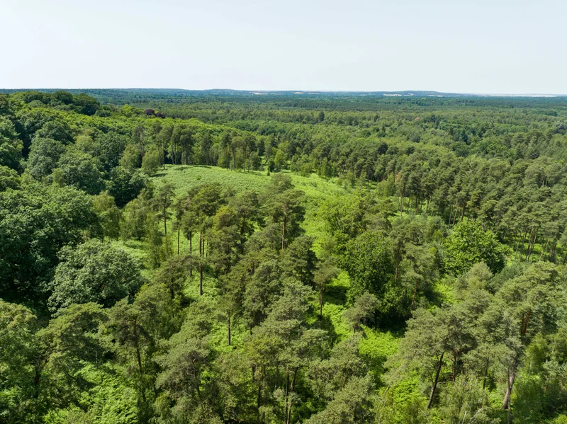 Randonnée Forêt de Rambouillet et villages pittoresques — Le Perray-en-Yvelines