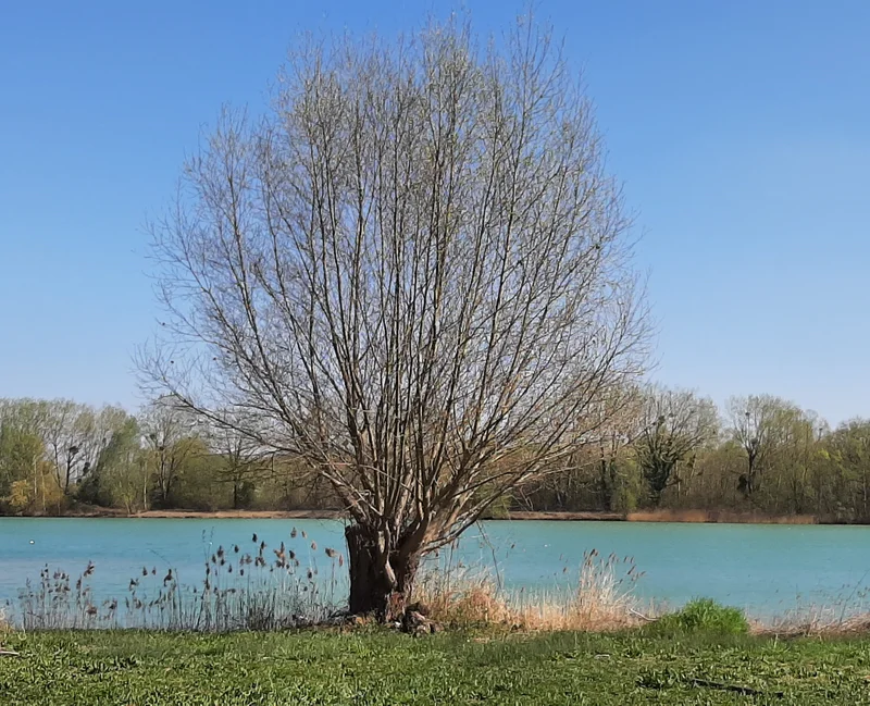 Randonnée Vers les étangs de Pontpoint — Pontpoint