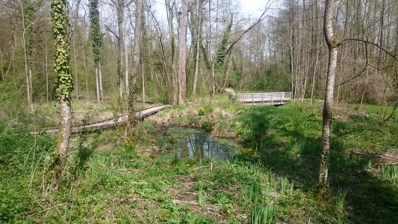 Randonnée R4 - Chemin de fer, chemin et de terre — Chars