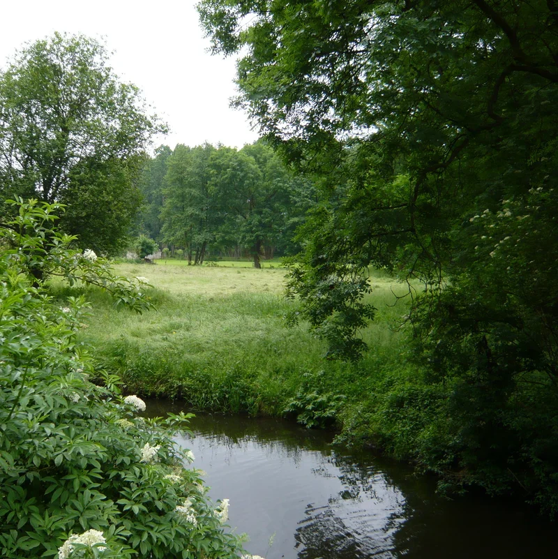 Randonnée Fosses - Bellefontaine, " En pays de France" — Fosses