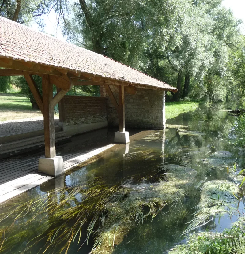 Randonnée Mont-l’Évêque, un village lié à sa forêt — Mont-l'Évêque