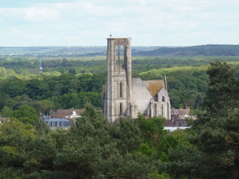 Randonnée A la recherche du vieux Larchant — Larchant