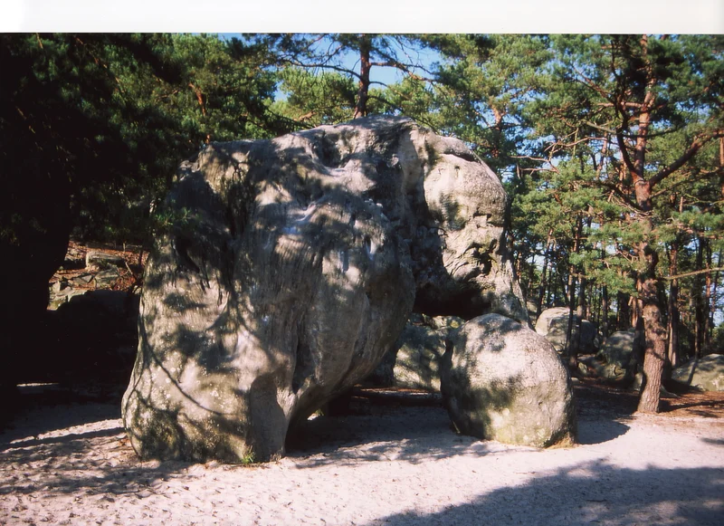 Randonnée Boucle de randonnée de Larchant (0) — Larchant