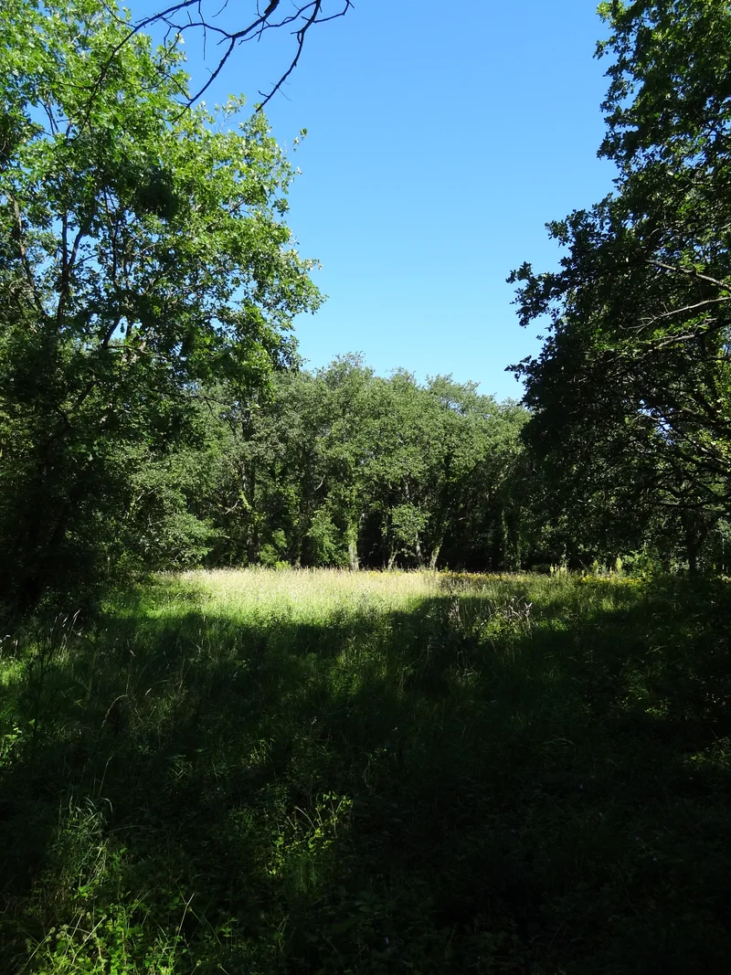 Randonnée La Traversée du Vexin - De Vétheuil à Mantes-la-Jolie — Vétheuil