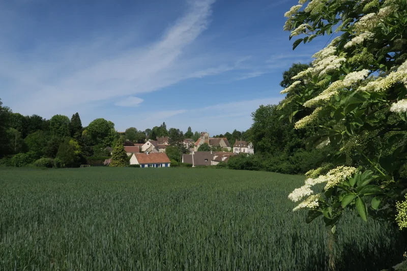 Randonnée Sentier du patrimoine de Wy-dit-joli-village — Wy-dit-Joli-Village