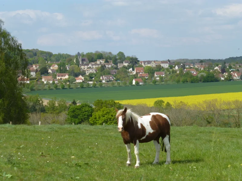 Randonnée Autour de la Bernon — Jambville