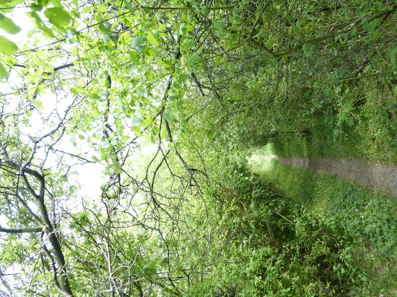 Randonnée Sentier d'interprétation de la Réserve naturelle nationale des Coteaux de Seine — Chérence