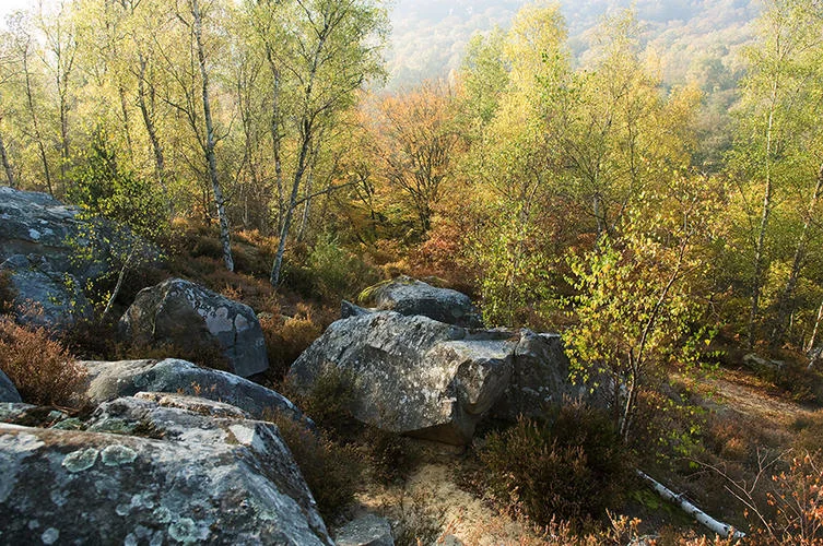 VTT Reliefs et grès des vaux de Cernay — Senlisse