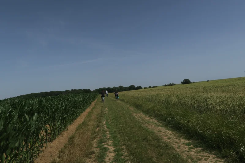 VTT Balade sur le plateau agricole — Théméricourt