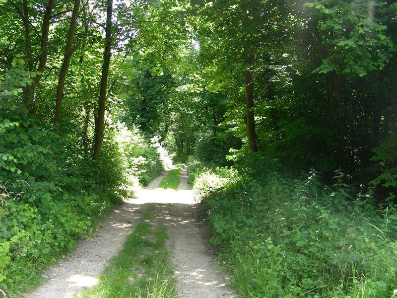 VTT Bois d'en haut (0) — Grisy-les-Plâtres