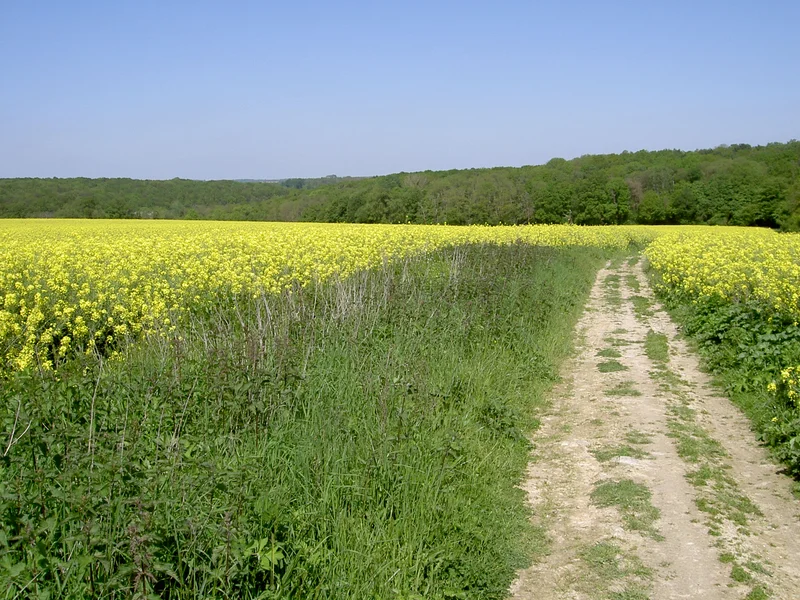 VTT La Vallée — Vallangoujard