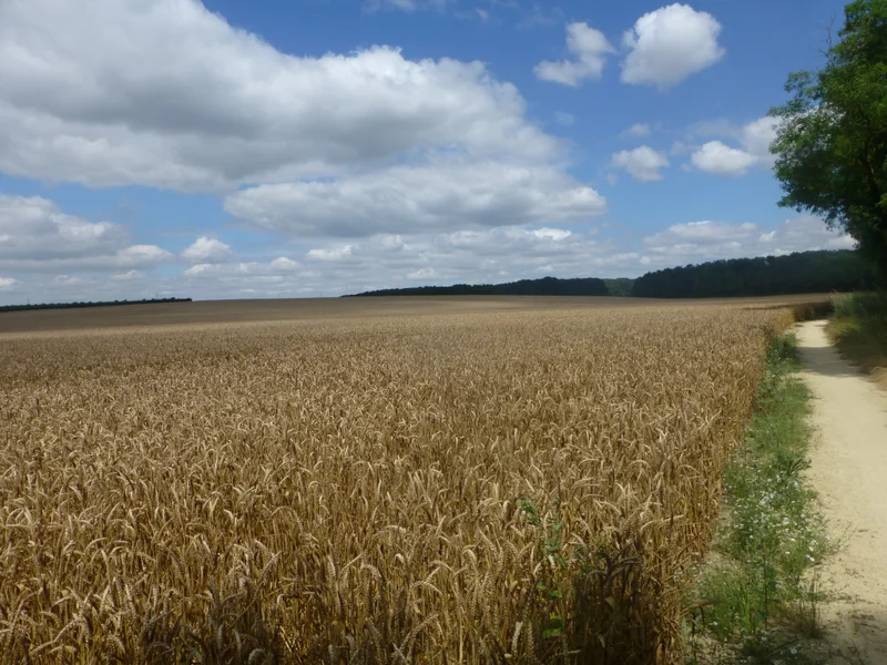 VTT Les Muettes — Pontoise