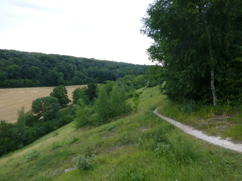 VTT Bois de la Tour du Lay — L'Isle-Adam