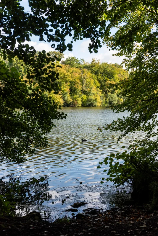 Vélo de route A vélo, de Chantilly aux étangs de Comelles — Chantilly