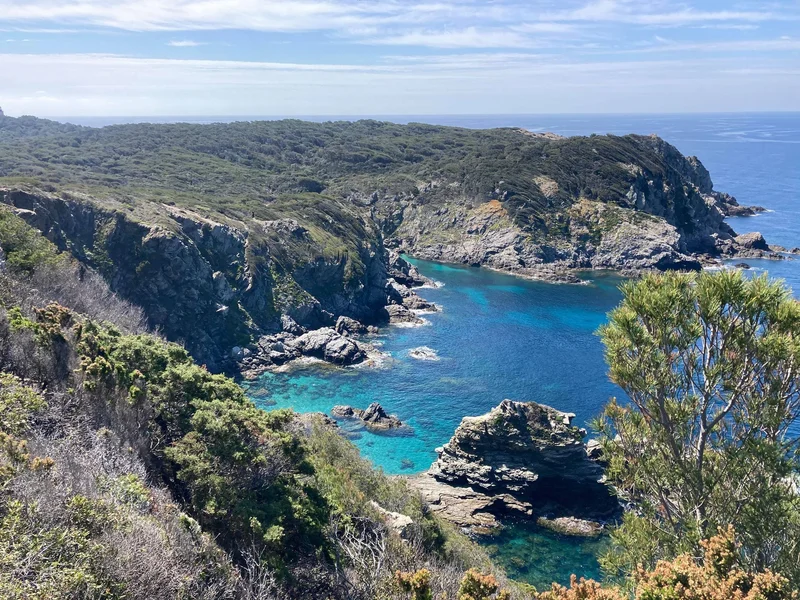 Randonnée Porquerolles - Circuit des crêtes (centre) — Hyères
