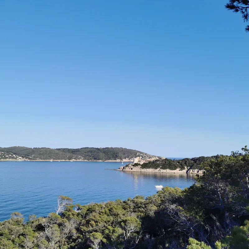 Randonnée Port-Cros - Circuit des forts · Hyères