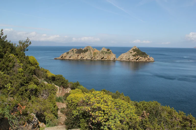 Randonnée Port-Cros - Sentier des plantes — Hyères