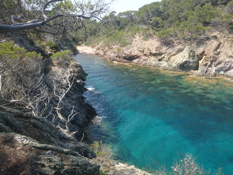 Vélo de route Porquerolles - Circuit du Levant à vélo — Hyères