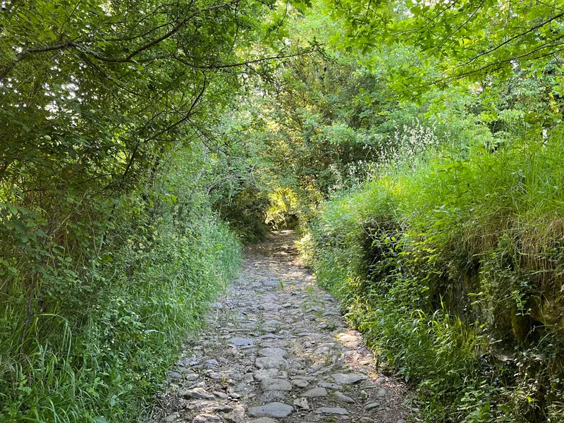 Randonnée Les Palombières (82) — Saint-Pé-d'Ardet