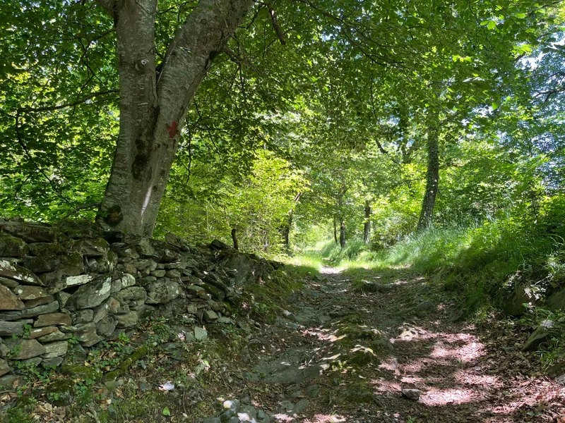 Randonnée La chapelle d'Esputs (83) — Chaum