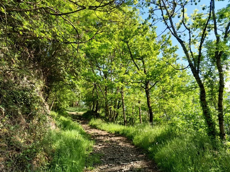 Randonnée Le col de Pradets (61) — Moustajon