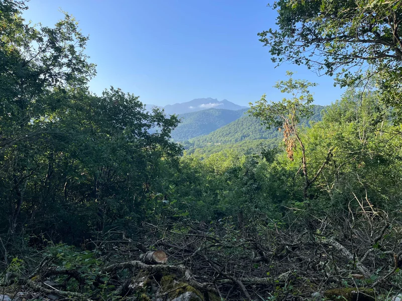 Randonnée Le col Lauach (89) — Cier-de-Rivière