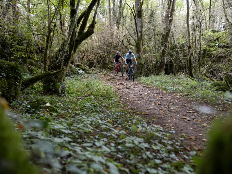 VTT Les Frontignes (17) — Saint-Pé-d'Ardet
