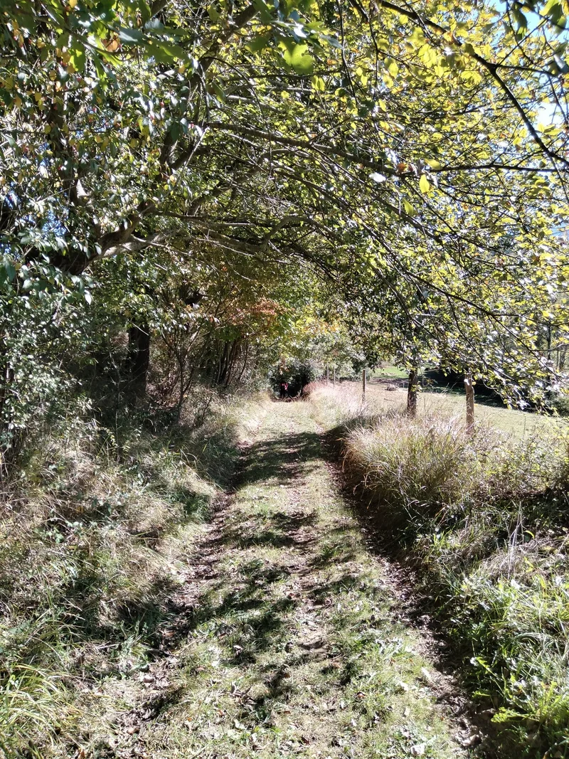 VTT Ombre et lumière autour de Ganties (22) — Ganties