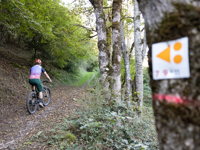 VTT Les Romanes (11) — Bagnères-de-Luchon