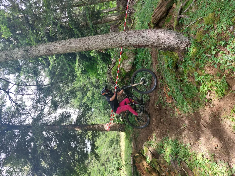 VTT La lièvre — Boutx